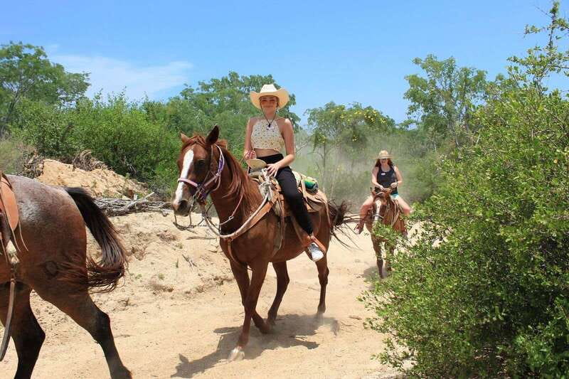 Los Cabos: Horseback Riding in Canyon a Mexican Experience - Mid-Trip Stops: Photo Stop, Spirits, Swimming, and Free Time