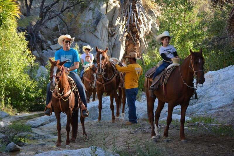 Los Cabos: Horseback Riding in Canyon a Mexican Experience - Lion’s Den Finish: Quesadillas, Guacamole, and Drinks Included