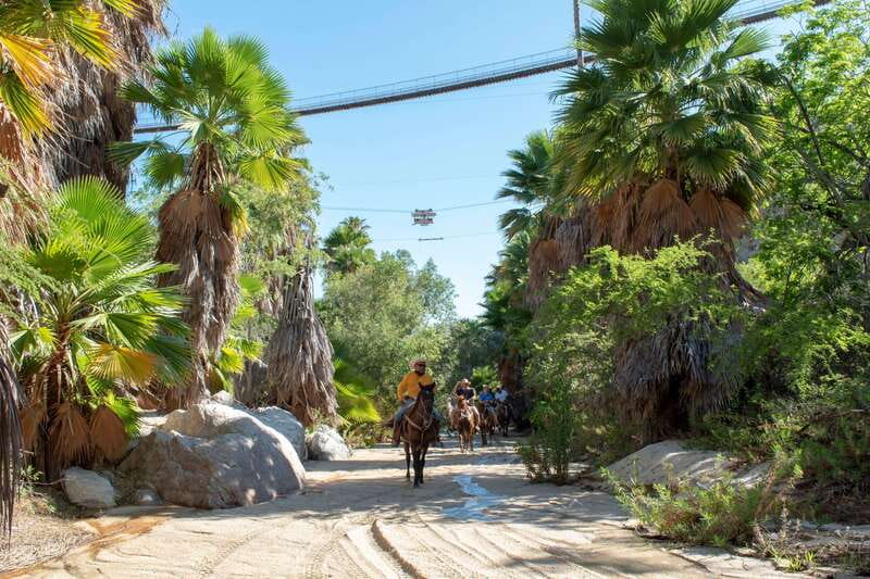 Los Cabos: Horseback Riding in Canyon a Mexican Experience - Price and Value: What $115 Covers, and What Costs Extra