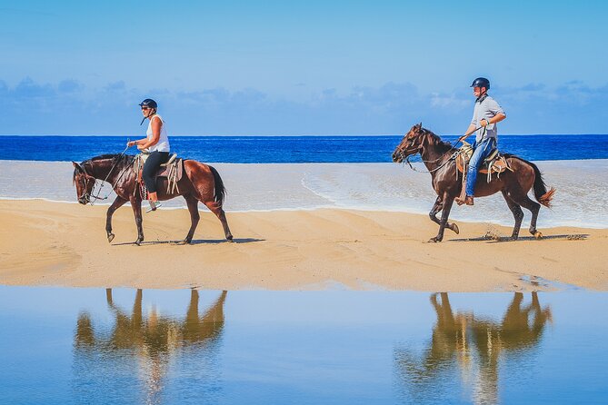 Los Cabos Horseback Riding - Pickup, timing, and group size: less chaos, more riding time