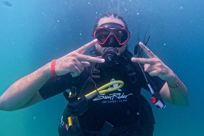 Los Cabos Open Water Diver Course - Key things to know before you go