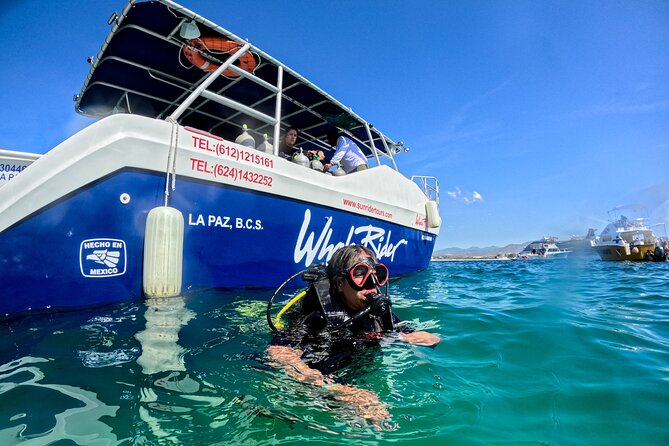 Los Cabos Open Water Diver Course - Price and value: $555 plus two cash-only fees