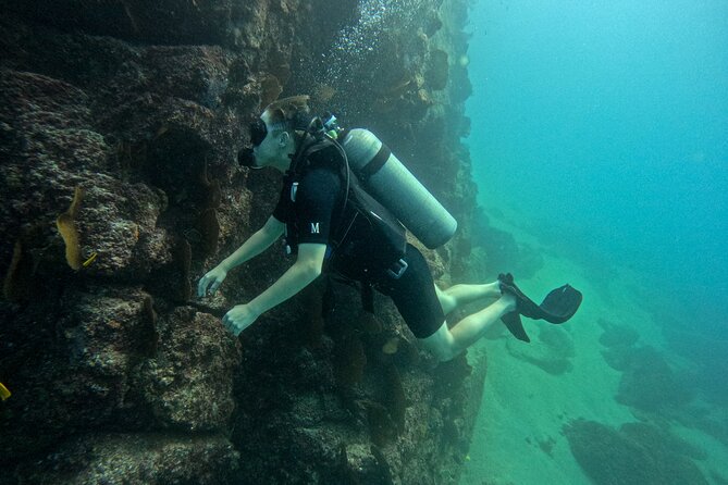 Los Cabos Open Water Diver Course - Who should book this Open Water Diver course (and who should wait)
