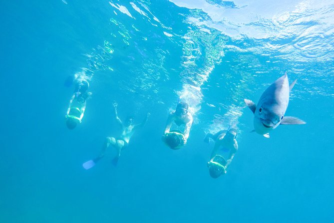 Los Cabos Power snorkel Adventure, Kayaking and Stand-Up Paddle - Key things I’d focus on before you go