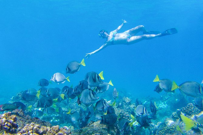 Los Cabos Power snorkel Adventure, Kayaking and Stand-Up Paddle - Gear, snacks, comfort: the practical stuff that affects your mood