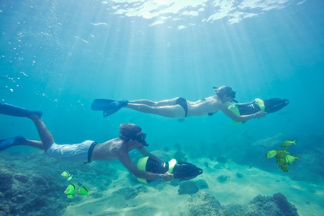 Los Cabos Power snorkel Adventure, Kayaking and Stand-Up Paddle - Good fit, bad fit: who this tour is for