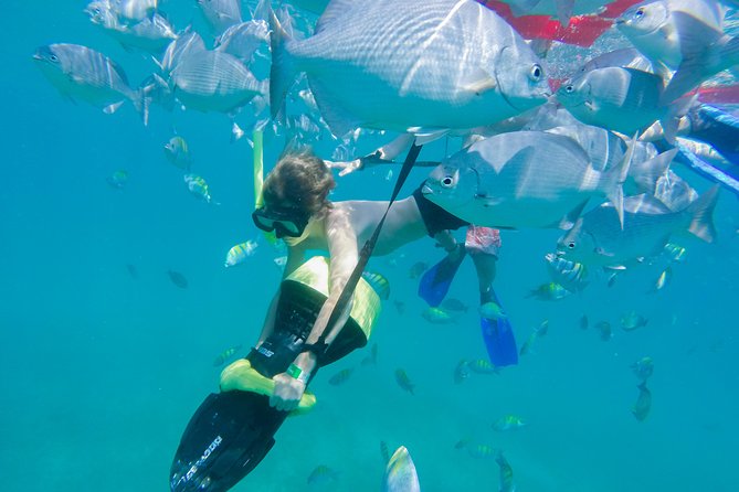 Los Cabos Power snorkel Adventure, Kayaking and Stand-Up Paddle - Should you book the Los Cabos Power snorkel adventure?