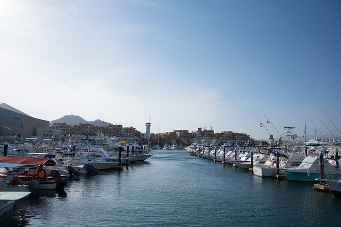 Los Cabos Private City Tour with Guide - Why this private Los Cabos half-day feels worth it