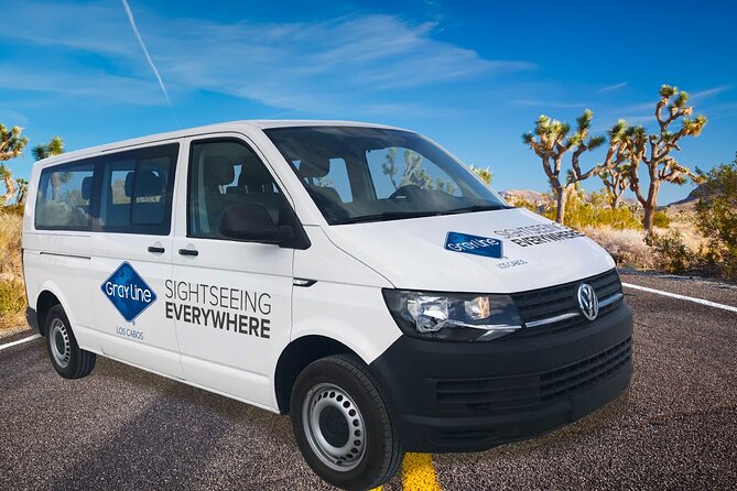 Los Cabos Private Mini-van Round-Trip Transfer - The Ride From Los Cabos International Airport to Your Resort