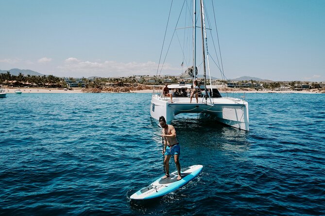 Los Cabos Seasonal Whale Watch and Snorkel Tour - Winter whale season plus snorkel time off Cabo