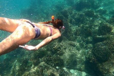 Los Cabos Seasonal Whale Watch and Snorkel Tour - The boat setup: a small catamaran day that feels more personal