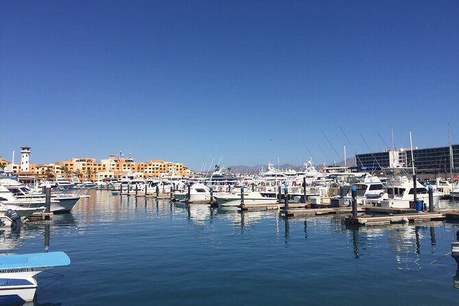 Los Cabos Snorkel & Pirate Ship Fun Adventure with Lunch - Stop by Stop: how the 3.5 hours are structured