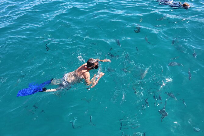Los Cabos Snorkel & Pirate Ship Fun Adventure with Lunch - Snorkeling gear and how to avoid a frustrating swim