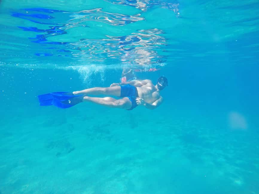 Los Cabos: Snorkeling Cruise with Lunch - Key Points You’ll Care About