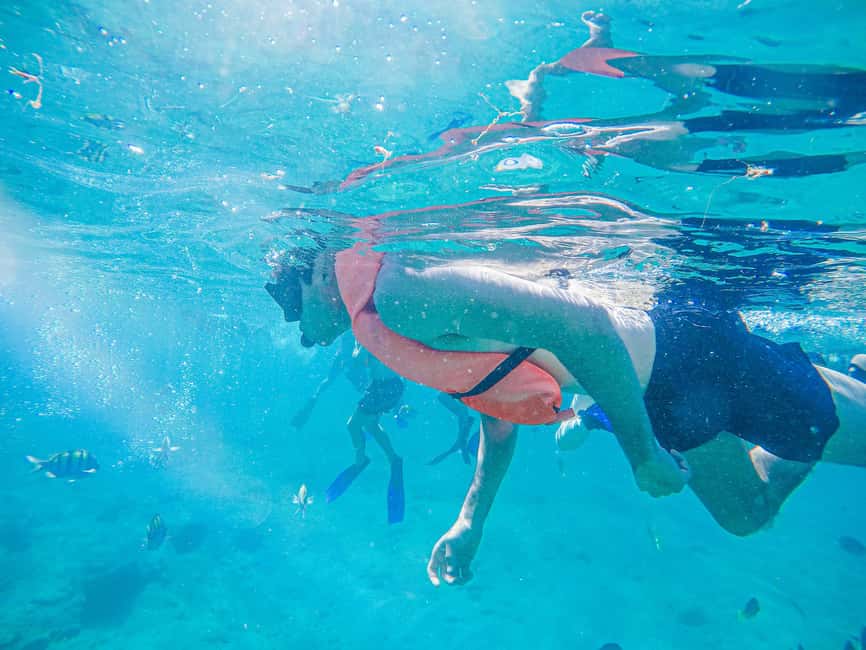 Los Cabos: Snorkeling Cruise with Lunch - Cruising the Sea of Cortez: Scenery With Real Sea Air