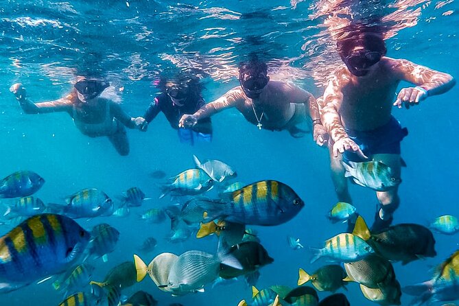 Los Cabos Snorkeling Tour by Speed Boat with Photos Included - Key Things That Make This Snorkeling Tour Worth Your Time