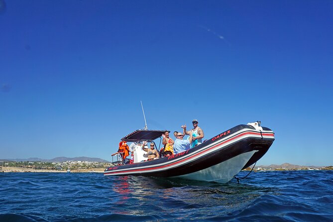 Los Cabos Snorkeling Tour by Speed Boat with Photos Included - Wildlife You Might See (and How to Keep Your Expectations Grounded)