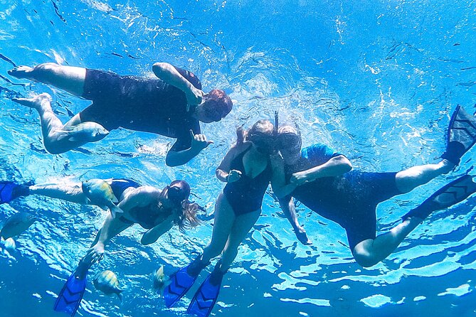 Los Cabos Snorkeling Tour by Speed Boat with Photos Included - Meeting Point: Baja Vikings Ecoventures at the Marina (How to Not Get Lost)