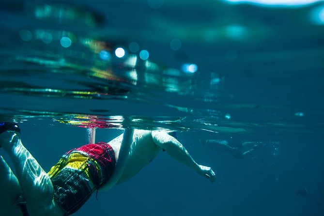 Los Cabos Snorkeling Tour to Chileno Bay and Santa Maria Cove - Marine Life Highlights (Fish, Turtles, Rays, and Reef Details)