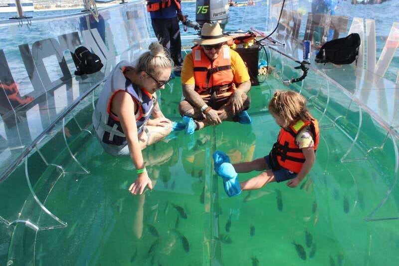 Los Cabos: Transparent Boat Tour with Optional City Tour - What to expect during the ride: timing, sound, and photo moments