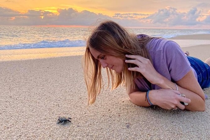 Los Cabos turtle release conservation program - Playa Migriño and the turtle release at sunset: the heart of the program