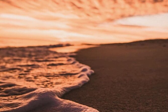 Los Cabos turtle release conservation program - Conservation context: why “nest protection” is the real story