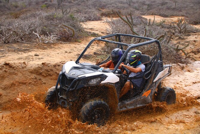 Los Cabos UTV Outdoor Experience to the Hidden Arch - Key Things to Know Before You Go