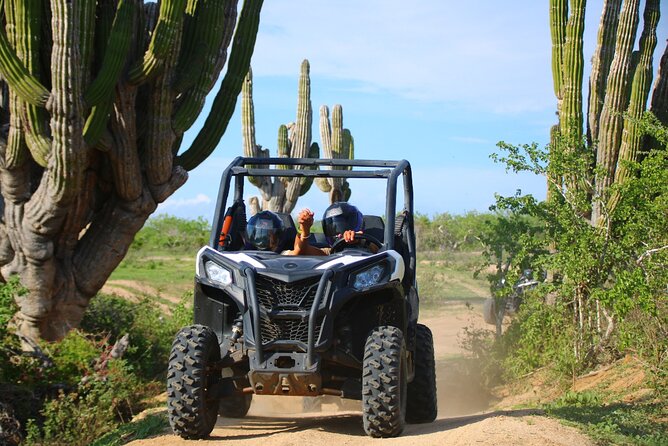 Los Cabos UTV Outdoor Experience to the Hidden Arch - The Hidden Arch Stop: A Photo Break With Real View Quality