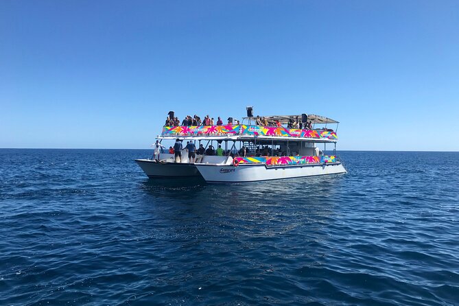Los Cabos Whale Watching Cruise Including Breakfast - From the Arch to Lovers Beach: Scenic Cruising with Context