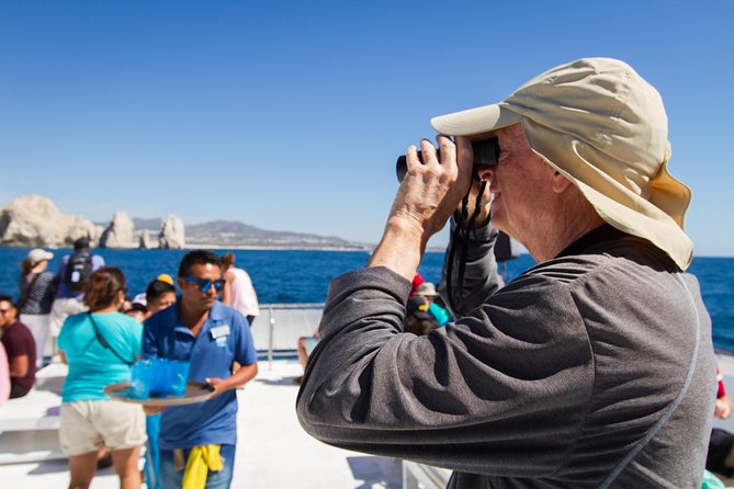 Los Cabos Whale Watching Cruise Including Breakfast - Value Check: Is $99 Worth It for Your Cabo Morning?