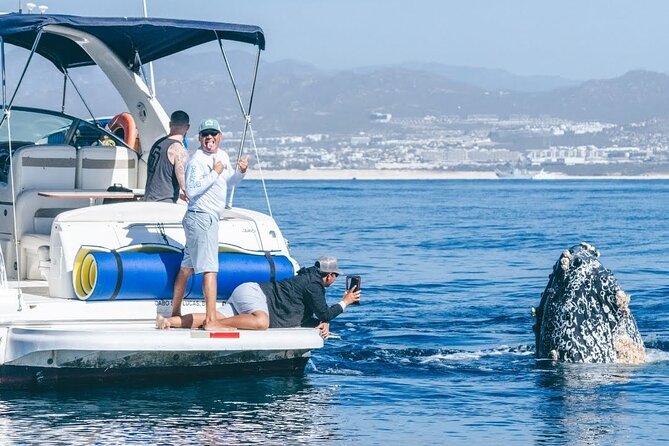 Los Cabos Whale Watching & Snorkel Adventure with Food & Drinks - Key Things That Make This Cabo Whale Watch Worth Your Time