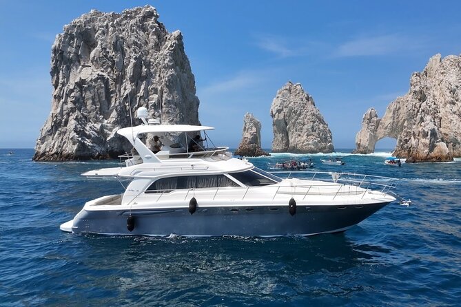 Los Cabos Whale Watching & Snorkel Adventure with Food & Drinks - Food and Drinks on Board: What You’ll Actually Be Eating