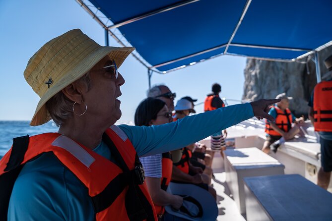 Los Cabos Whale Watching (Transportation and Pictures Included) - Stop 3 in the Gulf of California: observe but don’t disturb