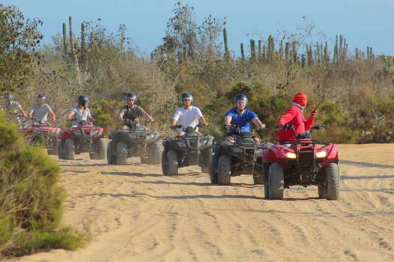 Los cabos:ATV beach&desert with transfer & tequila tasting - Beach horseback riding and wildlife facts during mating season
