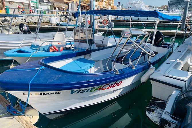 Lovers Beach and El Arco Boat Trip - Glass-Bottom Cruising to El Arco: Why this trip is worth it