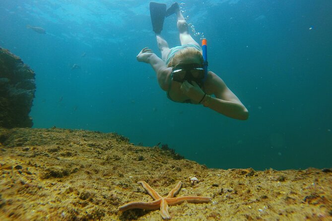 Luxury 42' Yacht Tour in Cabo for Snorkeling and Sunset - Practical Tips: How to Make the Most of Those 3 Hours