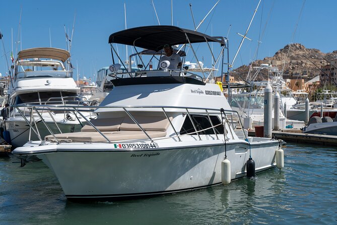 Luxury Private Yacht Charter in Cabo San Lucas Mexico - Sea Lion Colony Check and Scobby-Doo Rock: The Fun Curveball