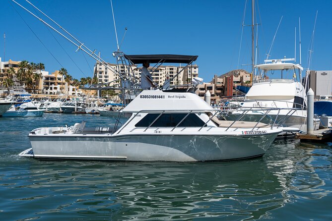 Luxury Private Yacht Charter in Cabo San Lucas Mexico - Weather and Timing: The Only Real Wild Card