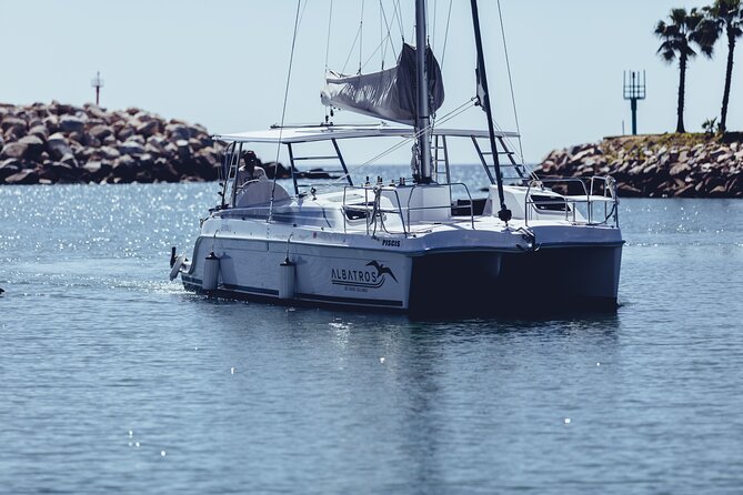 Luxury Snorkel Adventure in Cabo - Santa Maria Bay vs Chileno Bay: why the snorkeling stop changes