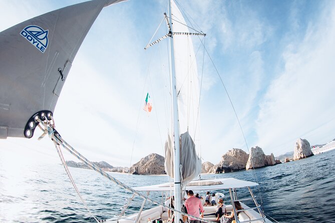 Luxury Snorkel Adventure in Cabo - Wildlife sightings: fish are common, bigger moments can happen