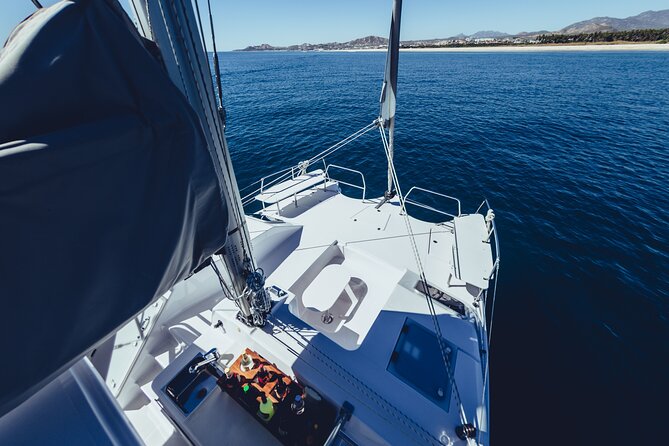 Luxury Whale Watch Cruise to The Arch Los Cabos - The 16-Guest Catamaran Advantage (Less Crowding, Better Angles)