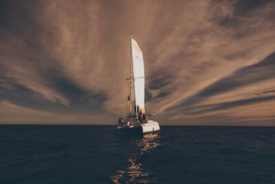 Luxury Whale Watch Cruise to The Arch Los Cabos - Getting Picked Up: What’s Included and Where It Can Go Sideways