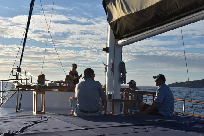 Luxury Yacht Snorkeling & Lunch Cruise from Cabo San Lucas - Who This Tour Fits Best (and Who Might Want to Rethink It)