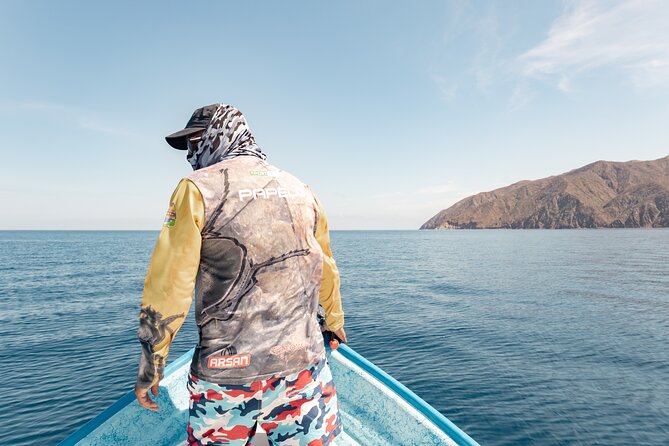 Marine Safari in La Ventana - Key things to know before you go