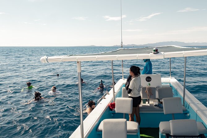 Marine Safari in La Ventana - Leaving Playa Central at 8:00: the small-group rhythm that matters