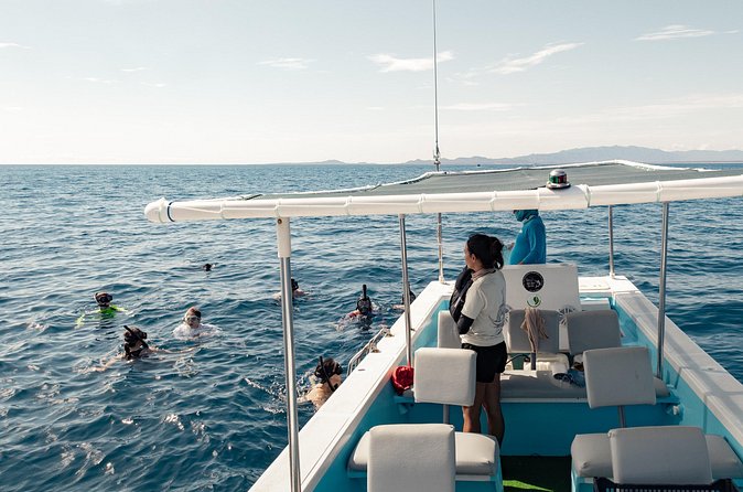 Marine Safari in La Ventana - Wildlife respect that isn’t just a slogan
