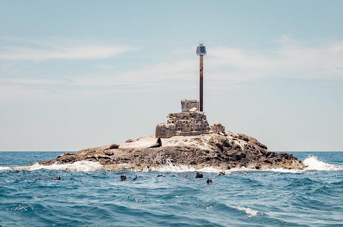 Marine Safari in La Ventana - The full day flow: how the time usually feels