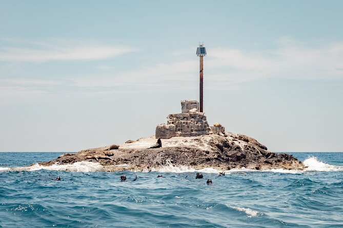 Marine Safari in La Ventana - What you’re actually looking for in La Ventana Bay