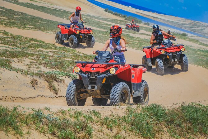 Migriño Beach and Desert ATV Tour in Cabo - The Big Finish: Rolling Onto Migriño Beach