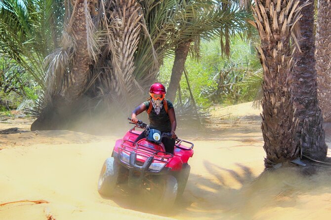Migriño Beach ATV and Horseback Riding Experience - Why Migriño Beach is worth the off-road detour